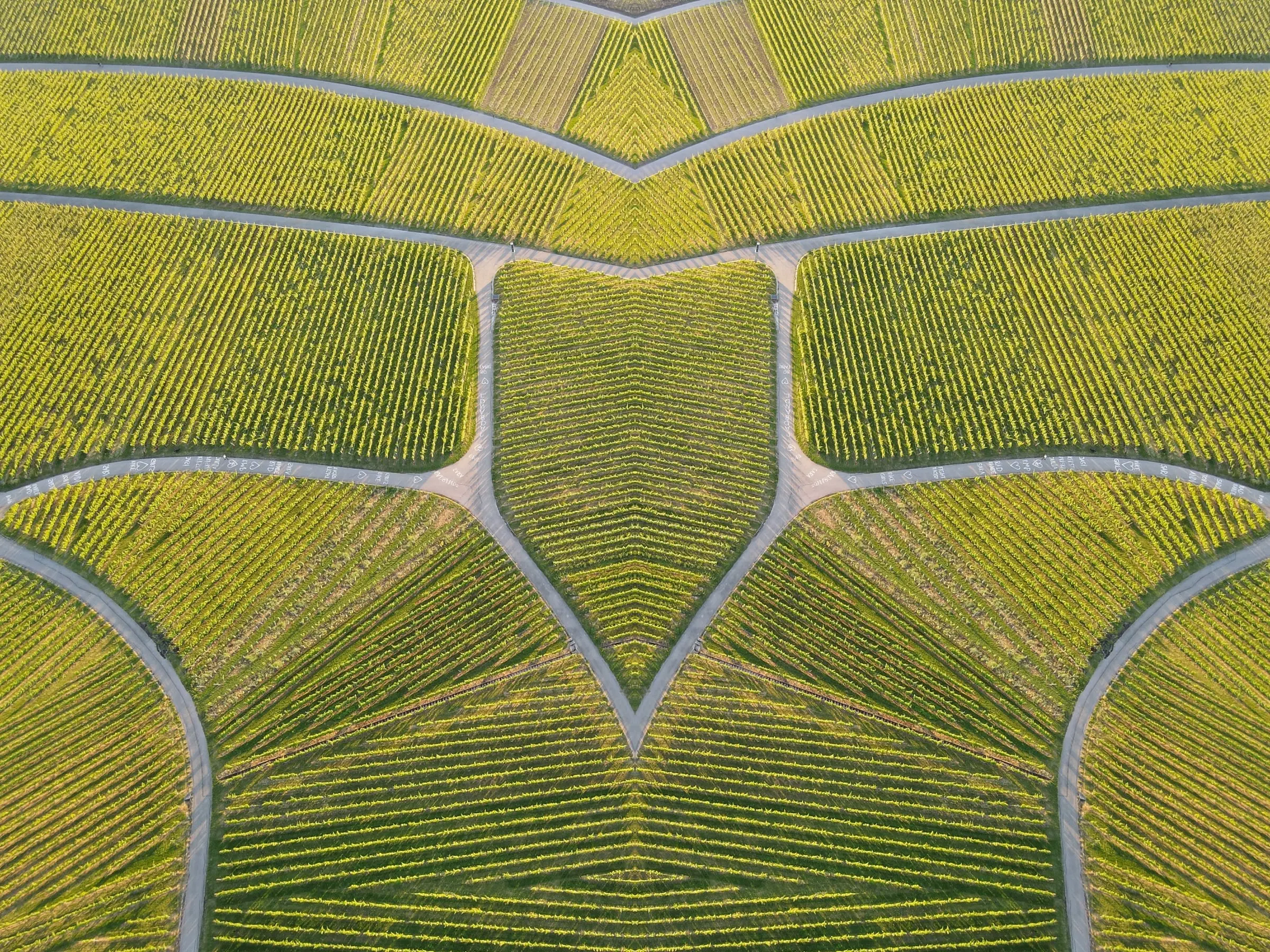 Mirrored № 10 — Symmetry, Reflection, Pattern. Photograph by Michael Damböck.