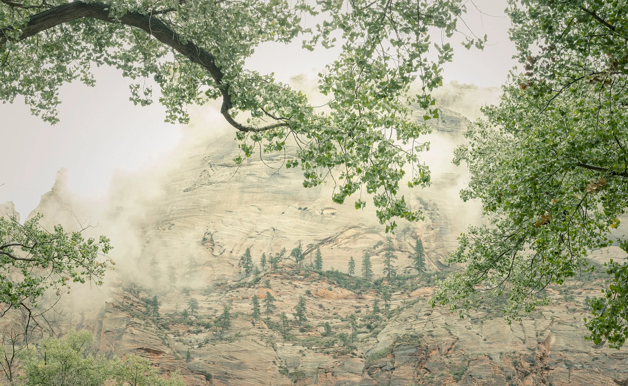 Landscape № 04 — Travel, Landscape, Light. Photograph by Michael Damböck.
