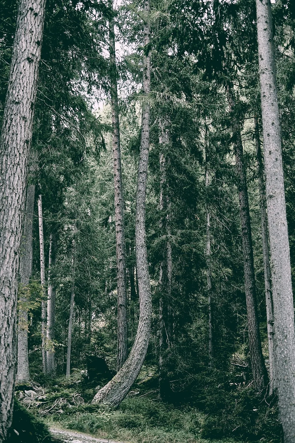 Landscape № 31 — Travel, Landscape, Light. Photograph by Michael Damböck.