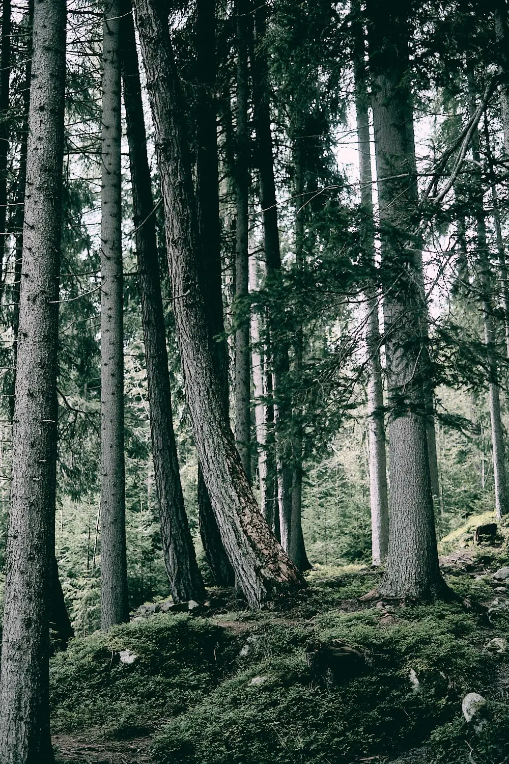 Landscape № 32 — Travel, Landscape, Light. Photograph by Michael Damböck.