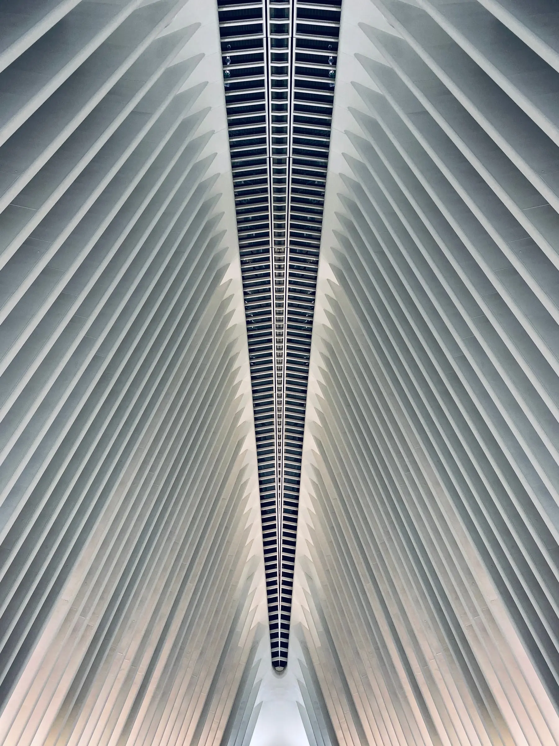 Mirrored № 17 — Symmetry, Reflection, Pattern. Photograph by Michael Damböck.