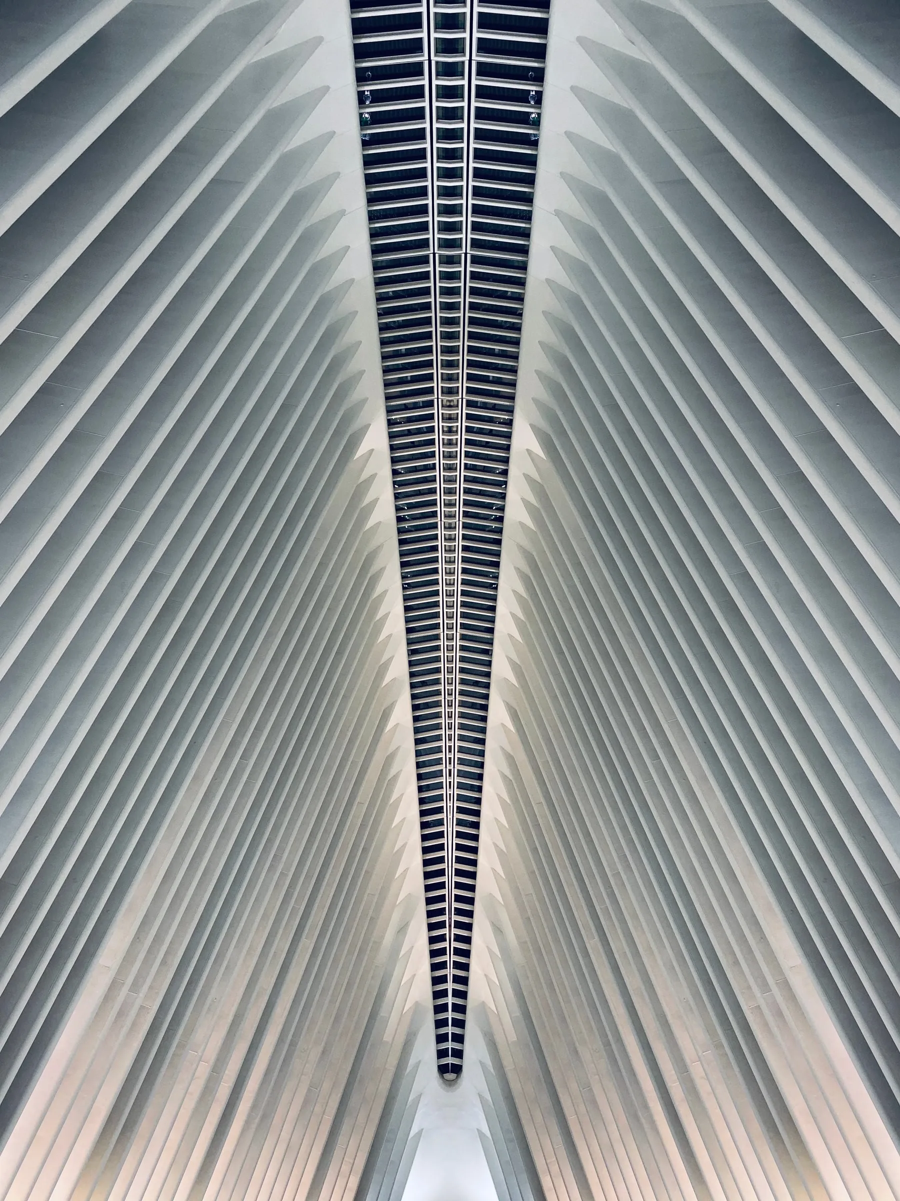 Mirrored № 17 — Symmetry, Reflection, Pattern. Photograph by Michael Damböck.