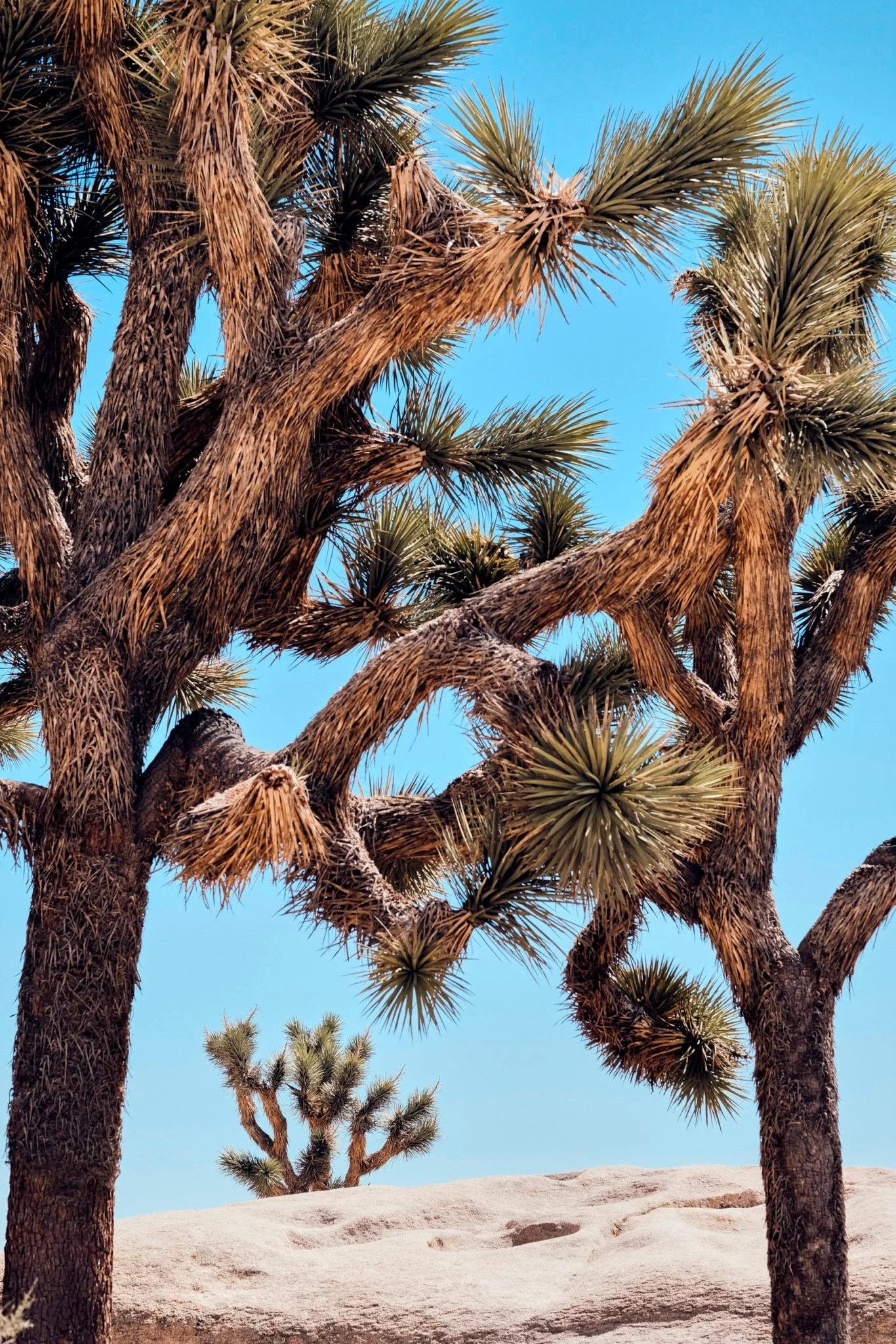 Landscape № 48 — Travel, Landscape, Light. Photograph by Michael Damböck.