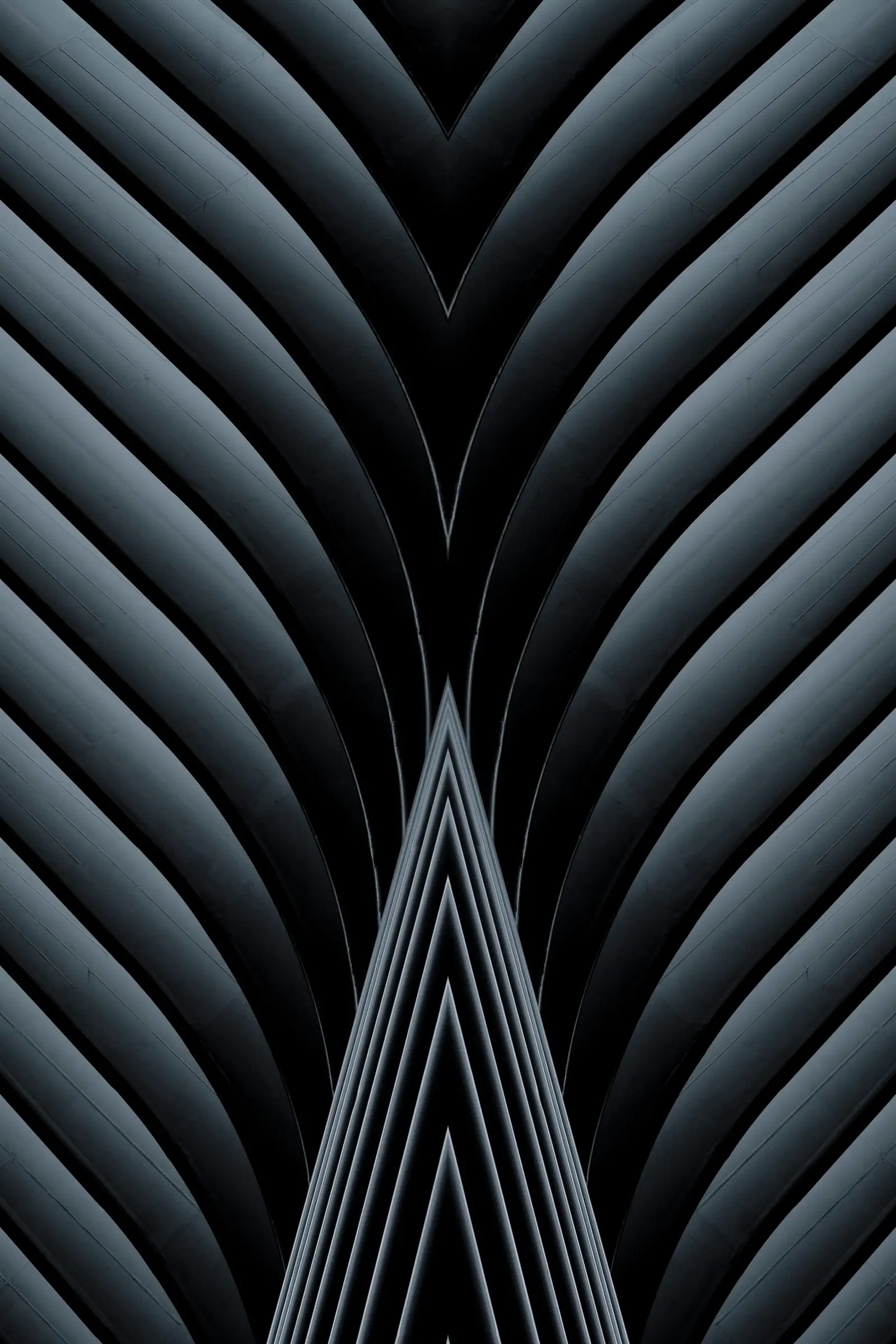Mirrored № 02 — Symmetry, Reflection, Pattern. Photograph by Michael Damböck.