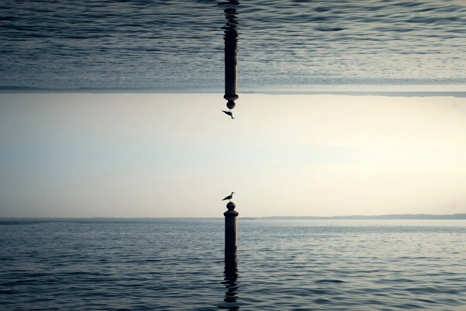 Mirrored № 05 — Kaleidoscope photography by Michael Damböck.