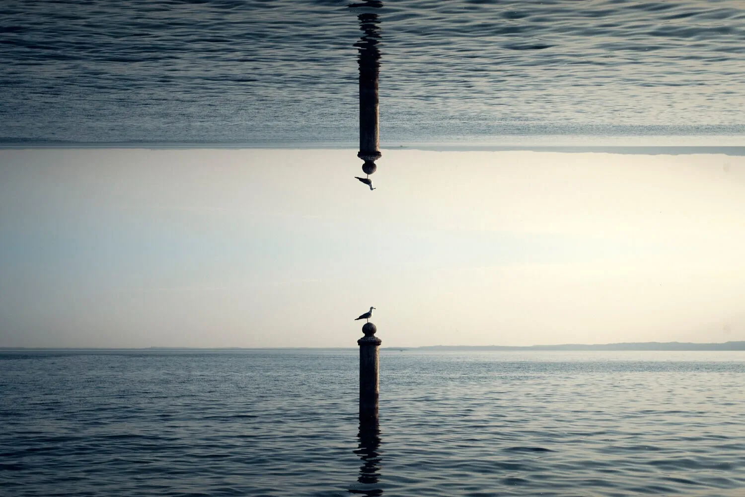 Mirrored № 05 — Symmetry, Reflection, Pattern. Photograph by Michael Damböck.