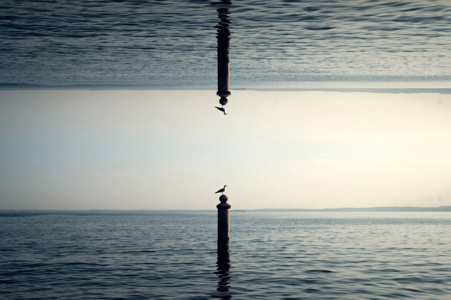 Mirrored № 05 — Symmetry, Reflection, Pattern. Photograph by Michael Damböck.