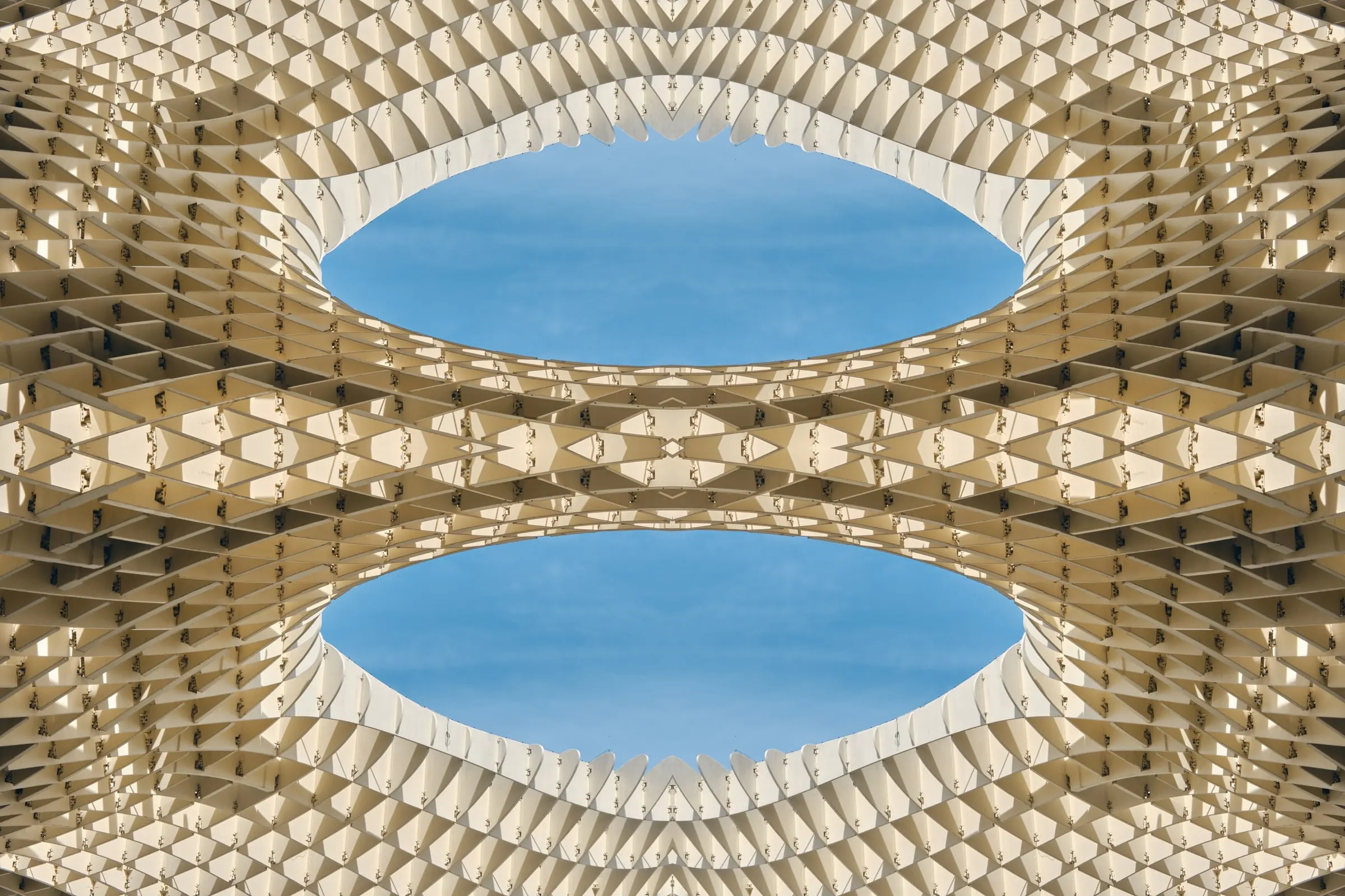 Mirrored № 07 — Symmetry, Reflection, Pattern. Photograph by Michael Damböck.