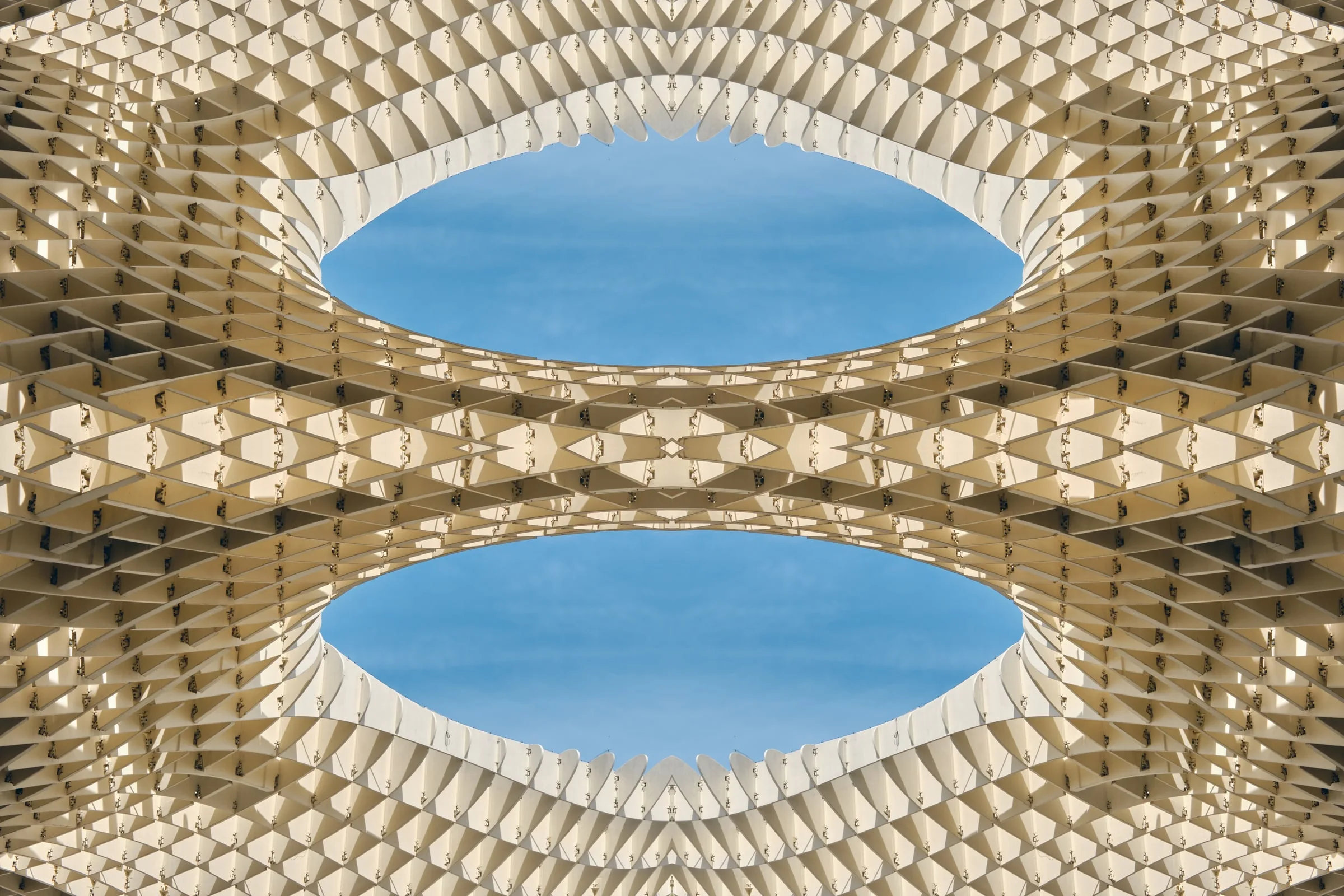 Mirrored № 07 — Symmetry, Reflection, Pattern. Photograph by Michael Damböck.