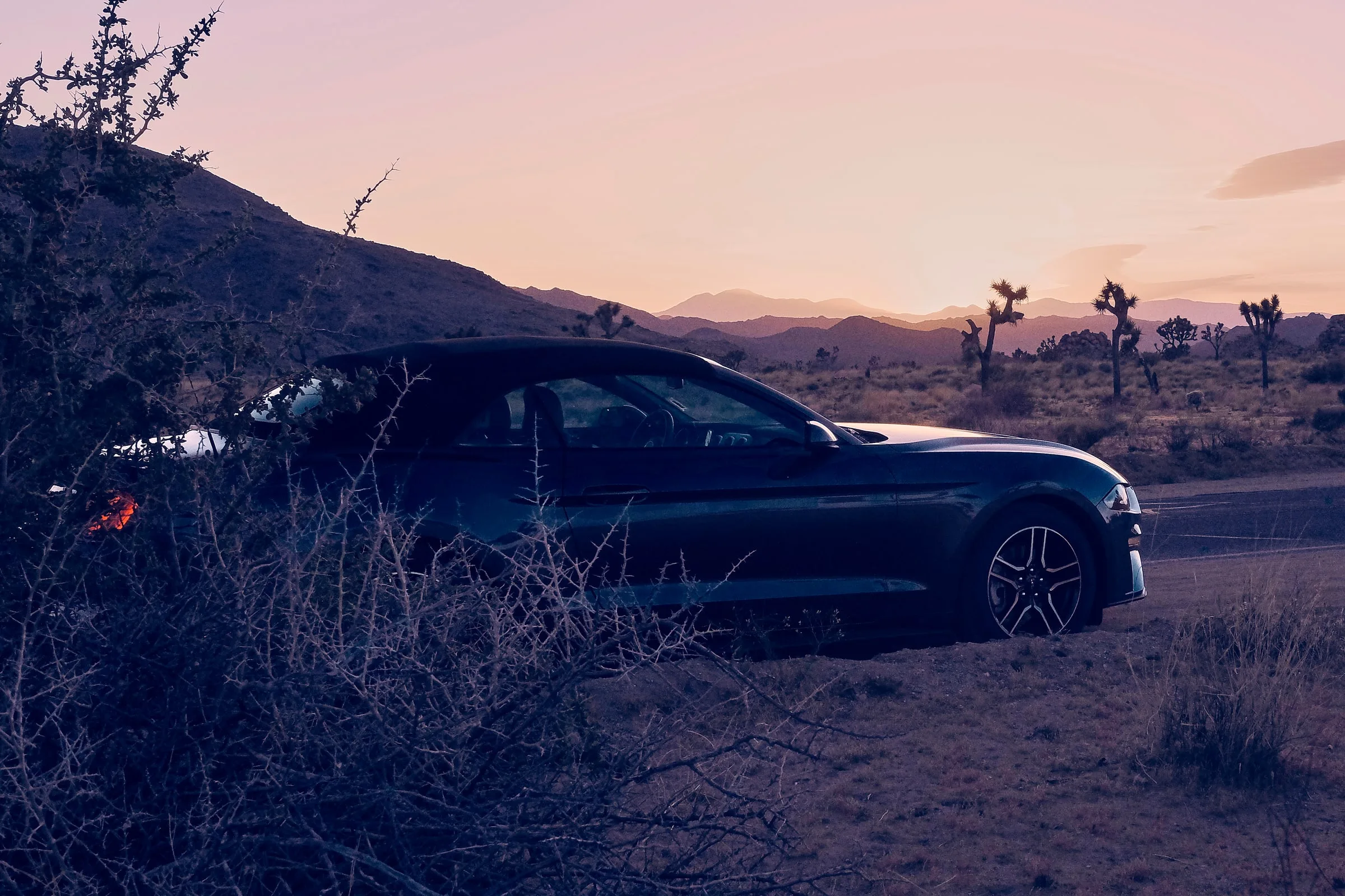 United States № 08 — American West, Death Valley, Grand Canyon. Photograph by Michael Damböck.
