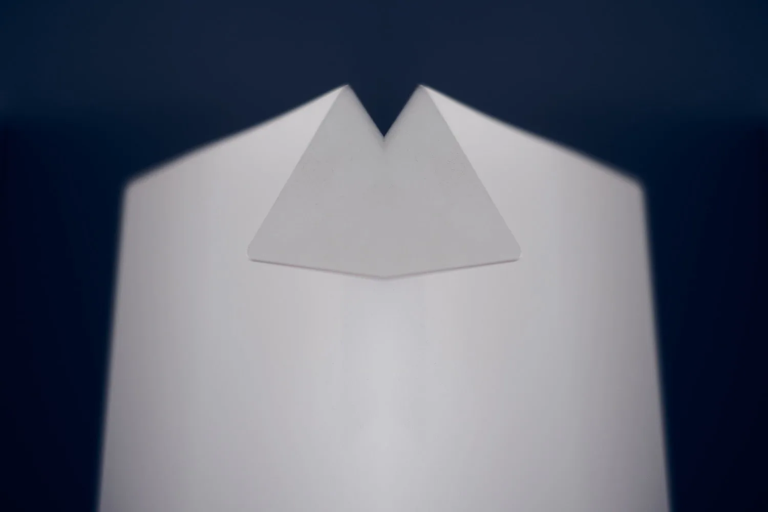 Mirrored № 11 — Symmetry, Reflection, Pattern. Photograph by Michael Damböck.