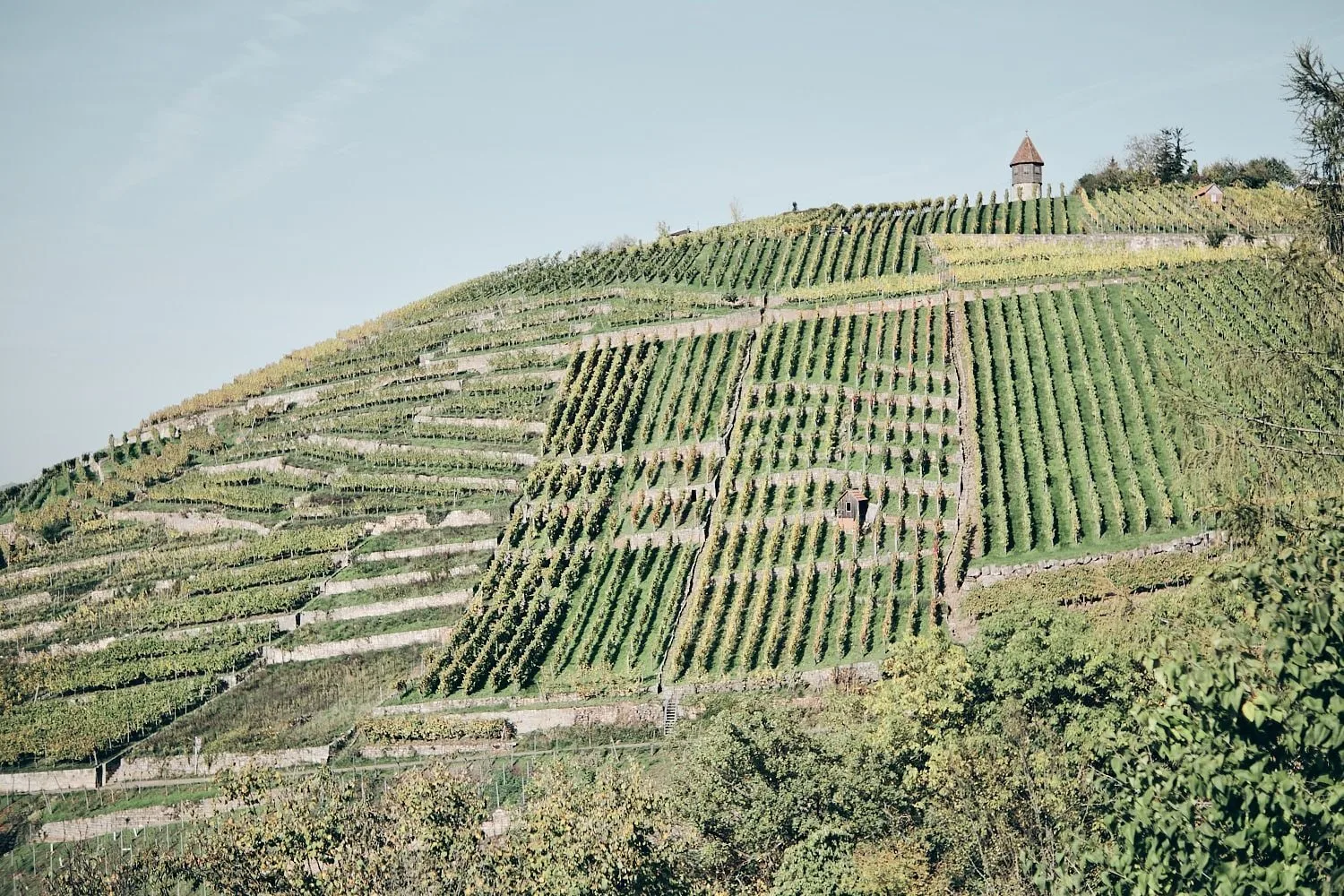 Landscape № 38 — Travel, Landscape, Light. Photograph by Michael Damböck.