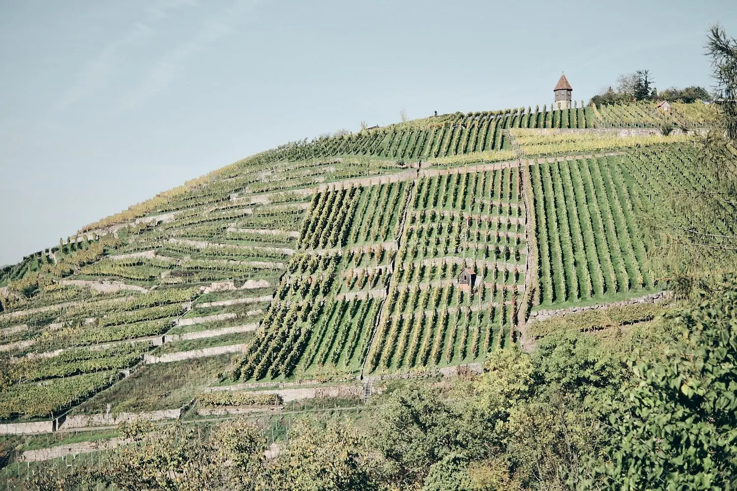 Landscape № 38 — Travel, Landscape, Light. Photograph by Michael Damböck.