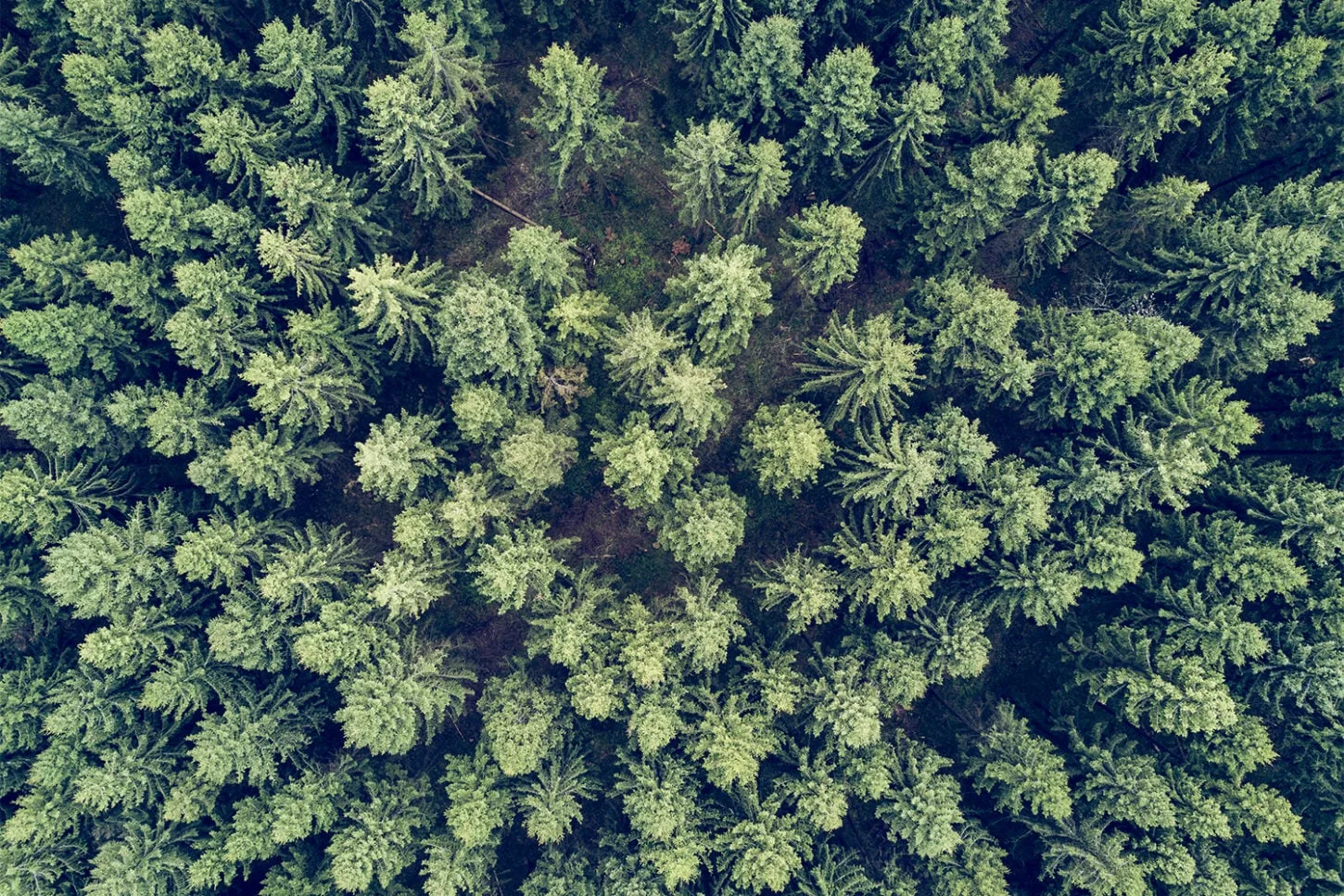 Landscape № 53 — Travel, Landscape, Light. Photograph by Michael Damböck.