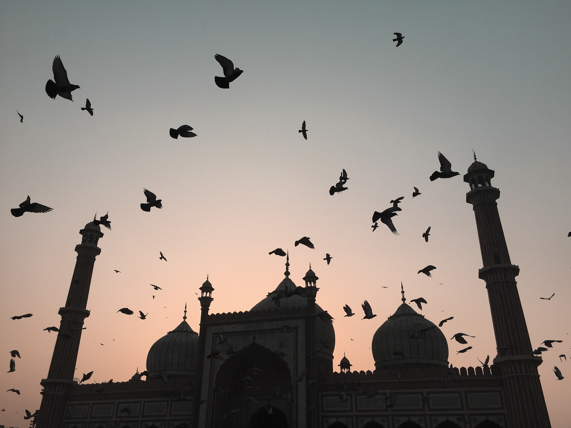 Moschee in Neu Delhi