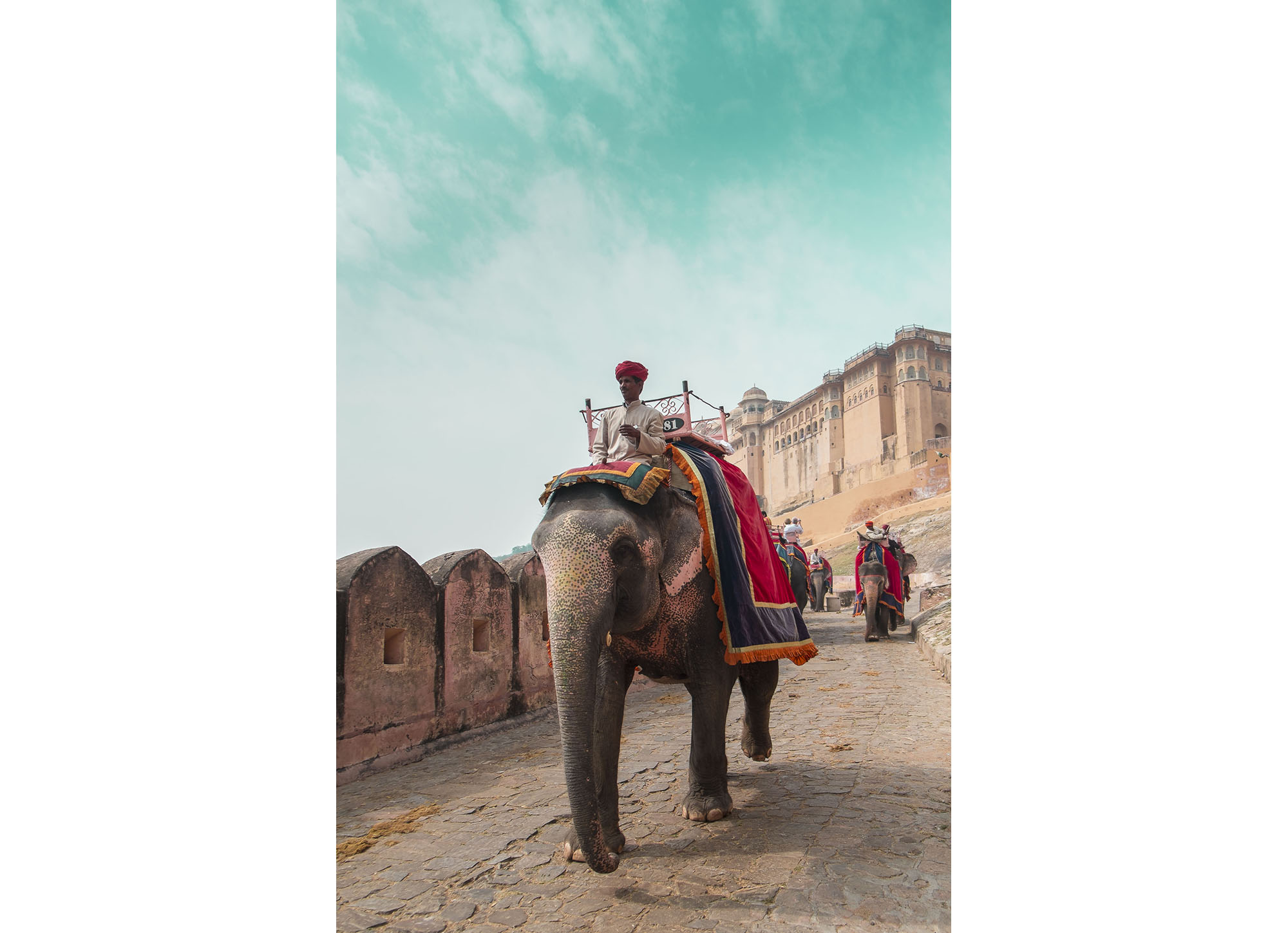 Elefanten Reiten Indien